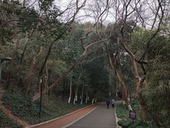 -赭山公园