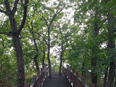 -狼牙山风景区