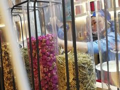 奶酪红草莓-LELECHA乐乐茶(上海五角场万达广场店)