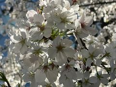 -星湖街(地铁站)