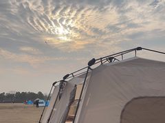 -春花秋色城市公园