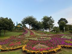 -东莞植物园