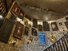 -雪灵魔法世界SHELLY’S TAROT(大良桂畔里店)