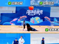 -秦皇岛乐岛海洋王国