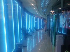 -绿树电竞(五路店)