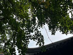 -西园戒幢律寺
