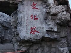-《神游传奇》秀
