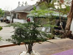 -龙坞茶村