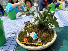 -嘉北郊野公园