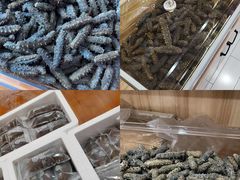 -宫品海参专卖店(静安大宁店)