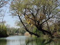 -西溪国家湿地公园