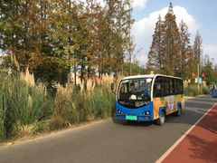 -上海长兴岛郊野公园