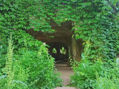 -沈阳植物园