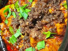 -陈麻婆豆腐(旗舰店)