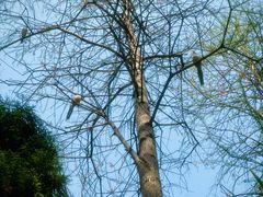 -苏州河梦清园环保主题公园