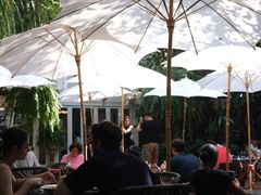 -Fern Forest Cafe