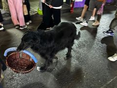 -健康路夜市