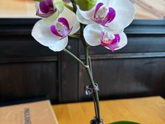 -PAULANER普拉那德国啤酒花园(千玺广场店)