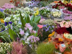 -双季花艺园艺市场(浦东店)