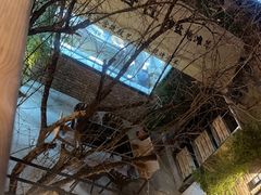 -羊门客在·烤盐池滩羊·川菜