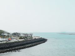 -万绿园