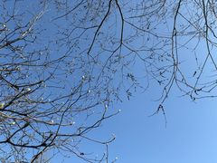 -秦岭终南山世界地质公园翠华山景区