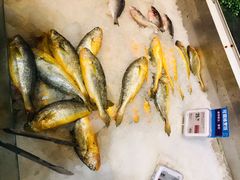 -盒马鲜生(曜一城店)