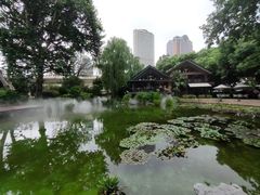 -静安公园(静安寺街道)