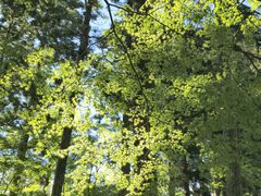 -三千院