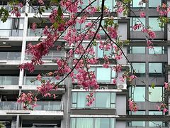 -天河体育中心
