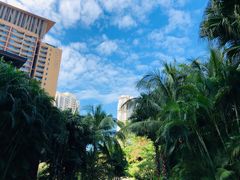 -三亚湾红树林度假世界(木棉酒店)