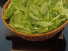 -南海渔村(珠江新城店)