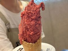 -野人先生现做冰淇淋(西安赛格店)