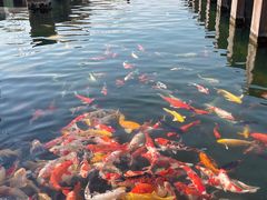 -宁波杭州湾国家湿地公园