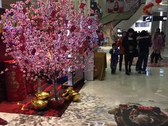 -纵横国际影城杜比全景声巨幕(天安云谷店)