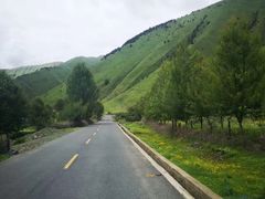 -紫颐香薰山谷景区
