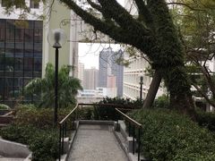 -香港大学