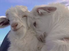 -CoCo都可(颍泉万达店)