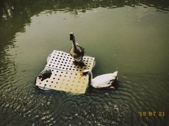 -润记农家菜
