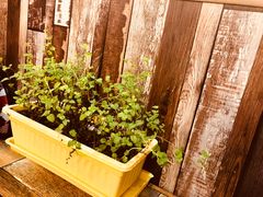 -啊噗吐呦现场烘焙(麦凯乐店)