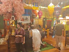 -吉祥圣雪藏餐