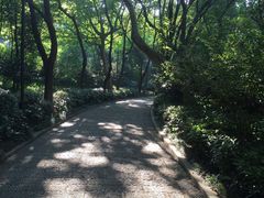 -杭州半山国家森林公园