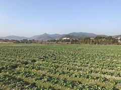 -古田会议纪念馆