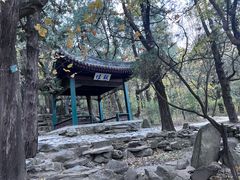 -香山公园