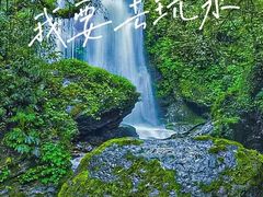-瓦屋山景区