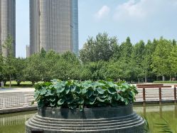 -大望京儿童游乐场