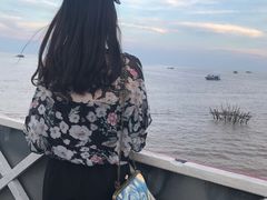 -洞里萨湖