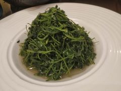 -绿地御豪温泉酒店·御泉中餐厅