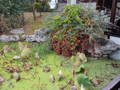 -高子水居