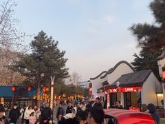 -青岛方特梦幻王国